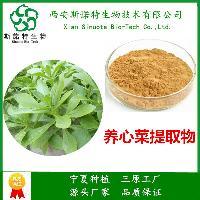 桂花浸膏1.0-1.3 天然香韵与定制化提取的行业标杆